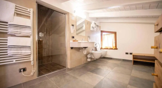 Двухместный номер Standard Alpino Lodge Bivio