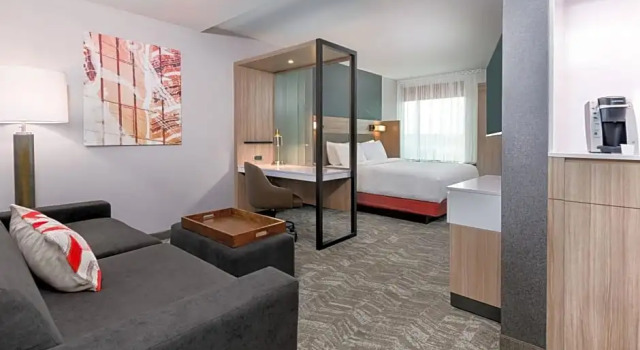 Двухместный номер Standard SpringHill Suites by Marriott Lakeland