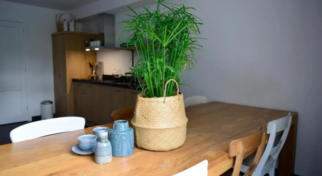 B & B Meet the Dutch, Prenota Hotel Ridderkerk Olanda Meridionale