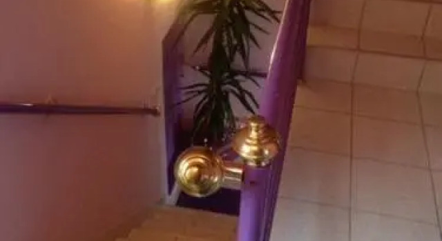 Guest House Vila Florida, Buchen Sie Pension Hotels in Vojvodina mit Parkplatz, Parkplätze