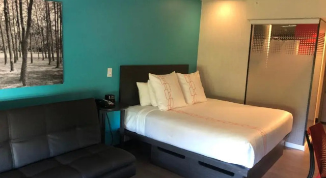 Standard chambre Vīb Best Western Springfield