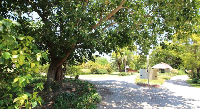 Asante Sana Holiday Village, Забронировать Отель Отели Мбомбела с бассейном, Бассейн