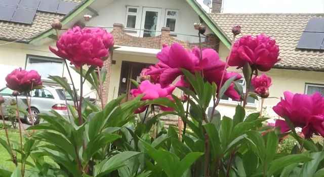 Linchens Bed and Breakfast, Забронировать Отель Отели Исторического графства Суссекса с парковкой, Парковка