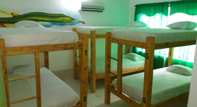 Кровать в общем номере Taganga Paradise Hostal & Diving - Hostel