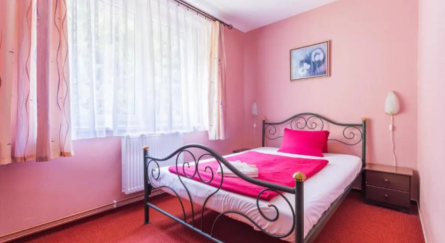 Номер Standard Hotel&Wellness Knížecí rybník