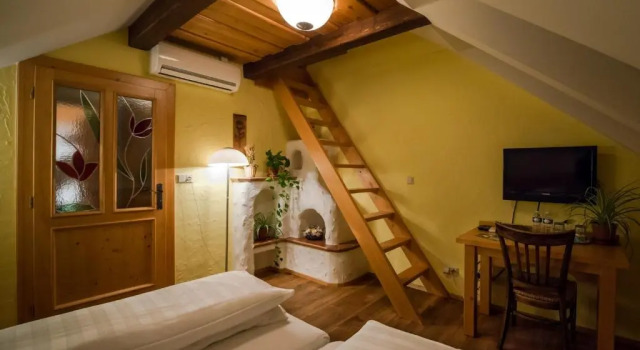 Номер Standard Penzion a Restaurace U Johana