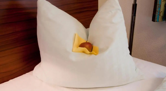 Одноместный номер Standard Hotel Burgwirt