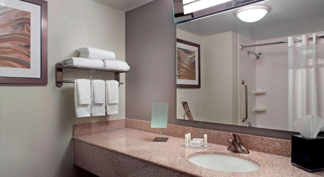 Двухместный номер Standard Sonesta Select Atlanta Cumberland Galleria Ballpark