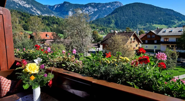 Номер Standard Linharterhof Ferienwohnungen