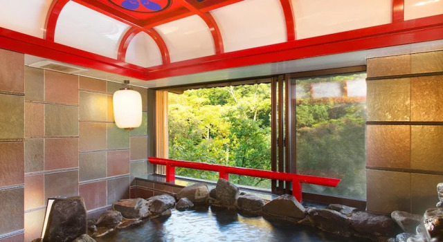 Двухместный номер Standard с видом на реку Yamanaka Onsen Kagari Kisshotei