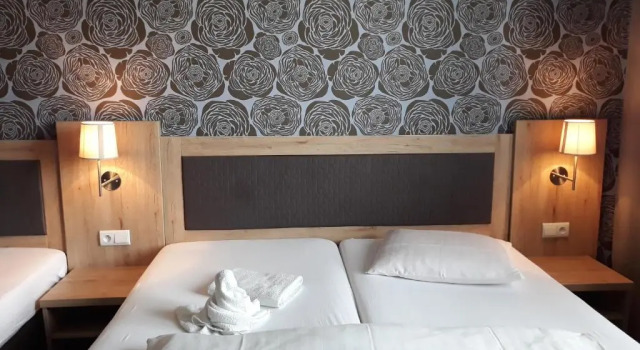 Номер Standard Hotel Rozvoj