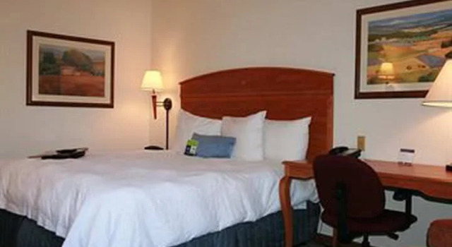 Четырёхместный номер Standard Elgin Inn