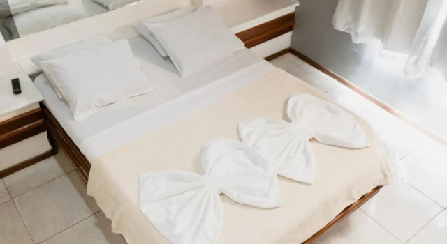 Двухместный номер Standard Hotel Avenida