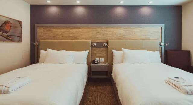 Четырёхместный номер Standard Tailwater Lodge Altmar, Tapestry Collection By Hilton