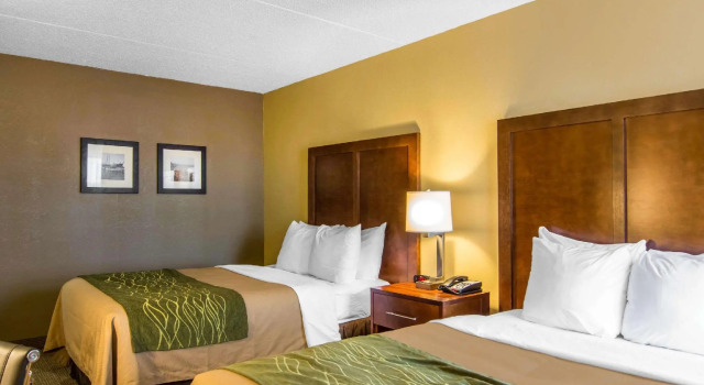Четырёхместный номер Standard Mulberry Inn
