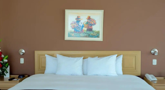 Standard- værelse Hotel Jose Antonio Puno
