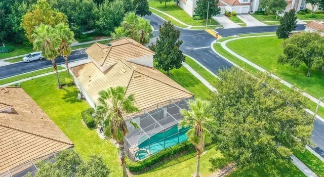 Ultimate Adventure Villa Top Rated 5 Star Disney More