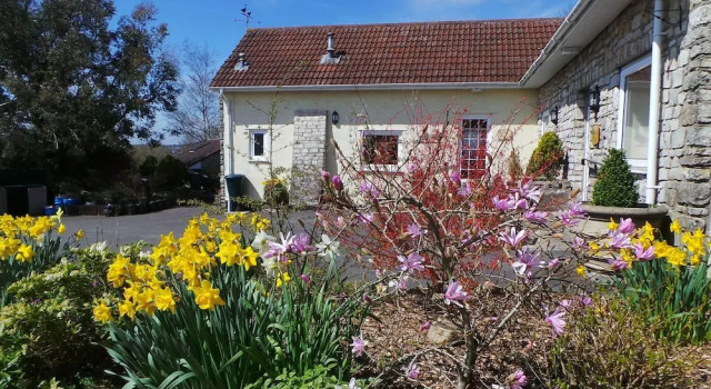 School Cottages BB  Self-Catering