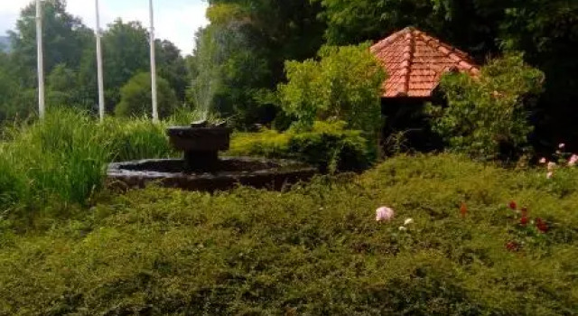 Planinska kuća, Buchen Sie Hotel Mokra Gora Tara-Gebirge