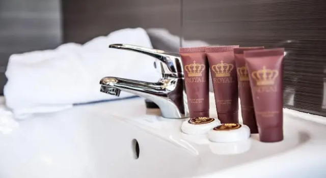 Одноместный номер Standard Royal Hotel Modlin