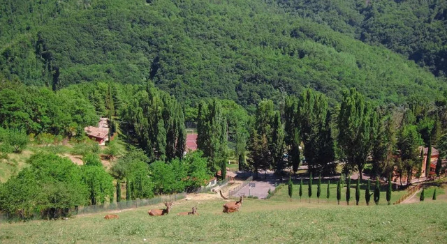 Tenuta Del Varco