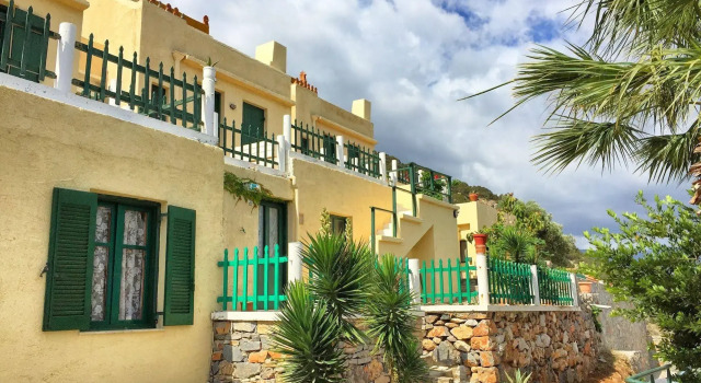 Anemone Seaside Traditional Homes