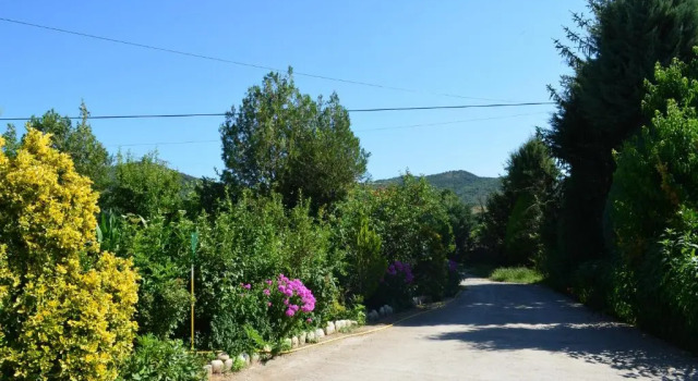 Двухместный номер Standard Casa Rural La Vall del Cadi