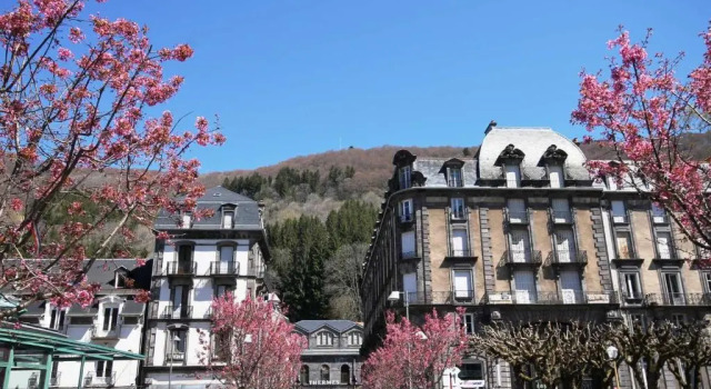 Appartement Mont-Dore, 2 pièces, 4 personnes - FR-1-608-146