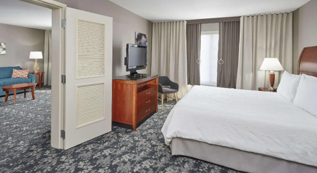 Двухместный люкс Hilton Garden Inn Schaumburg