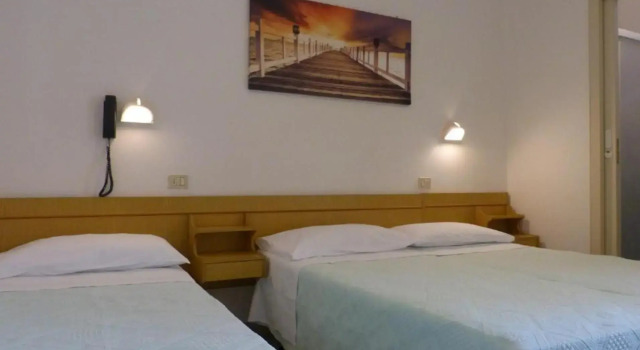 HOTEL DANNUNZIO, Забронировать Отель Каттолика Побережье Римини, рядом с Аквариум Le Navi