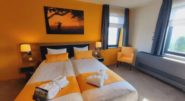 Двухместный номер Superior Azur en Ardenne