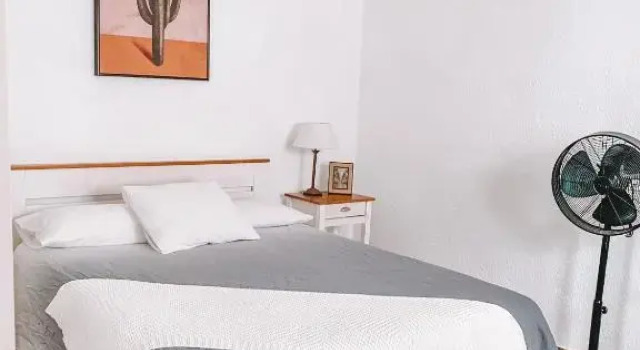 Номер Standard GreenTree House