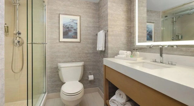 Люкс Standard JB Duke Hotel