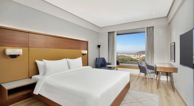 Номер Superior Radisson Hotel Nathdwara