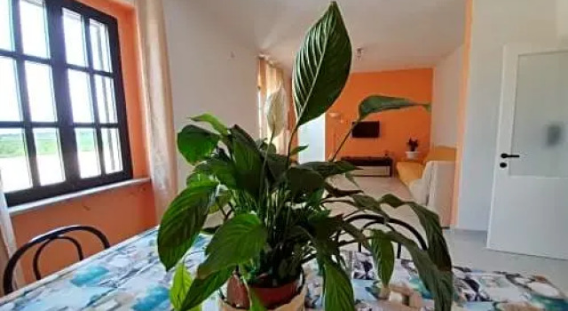 Il casale di zi'leo