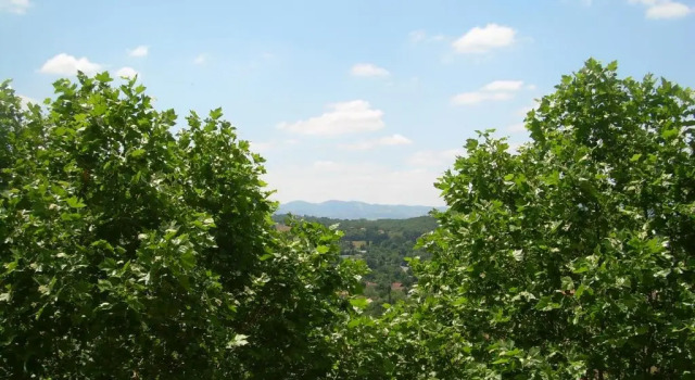Одноместный номер Standard Domaine Lyon Saint Joseph