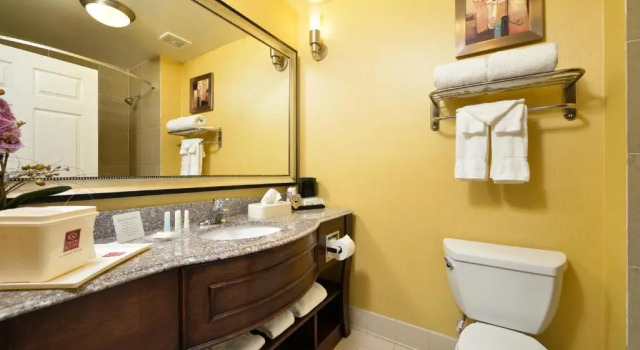 Люкс Superior Comfort Suites Bay City East