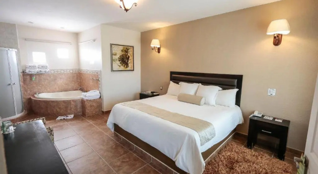 Люкс Hotel Real de San Jose