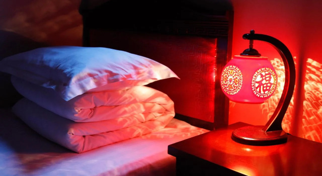 Leo Hostel