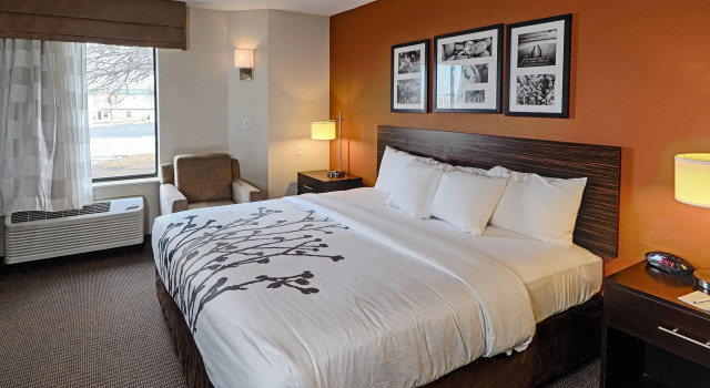 Двухместный номер Standard Sleep Inn & Suites Spring Lake - Fayetteville near Fort Bragg