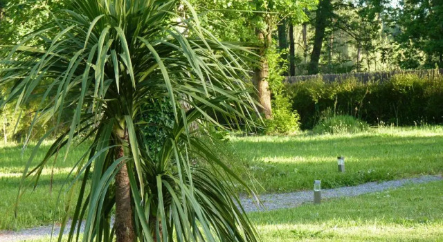 A l'Heure d'Eté, Varaa Hotelli Toulenne Aquitaine
