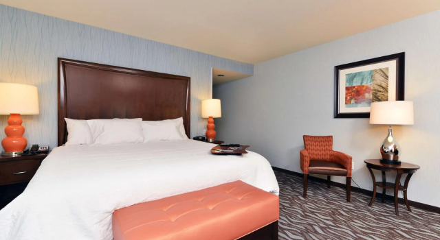 Двухместный номер Standard Hampton Inn Corning/Painted Post