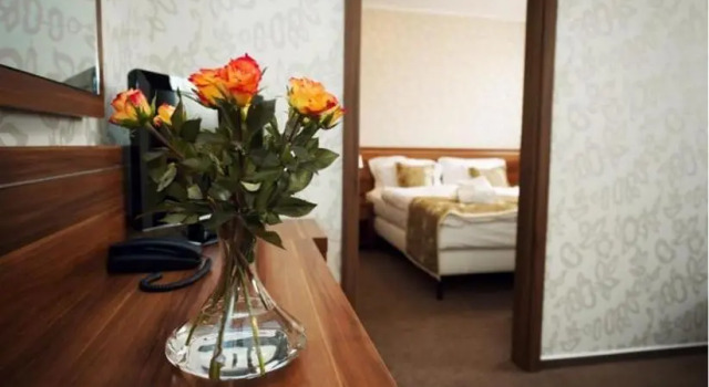 Люкс c 1 комнатой Wellness hotel Spark