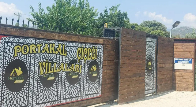 Portakal Çiçeği 1