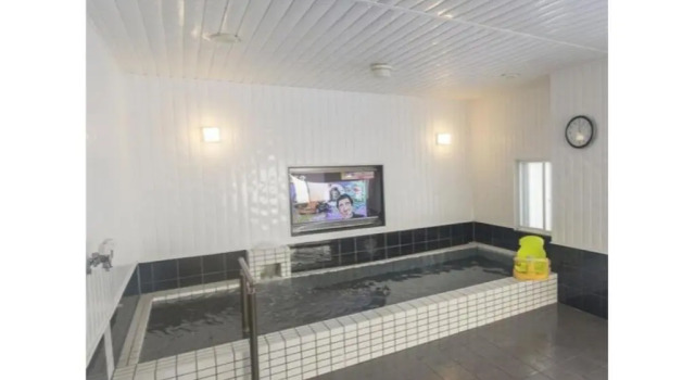 Студия Frame Hotel Sapporo - Vacation STAY 92384
