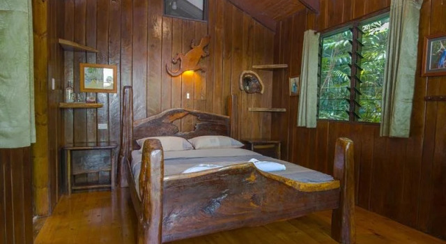 Rainforest Hideaway
