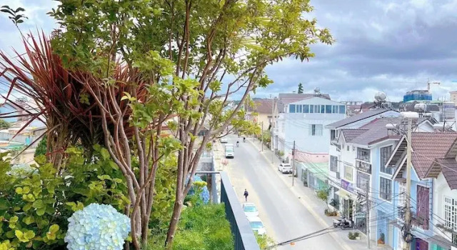 Номер Luxury Cozy Garden Boutique hotel