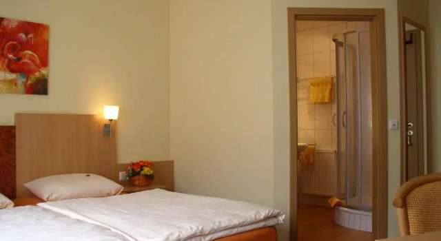 Двухместный номер Comfort Gästehaus Birnbaumhof