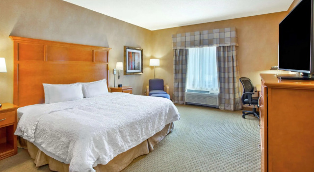 Двухместный номер Standard Hampton Inn Detroit - Shelby Township