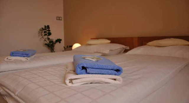 Апартаменты Hotel Lions Plzen
